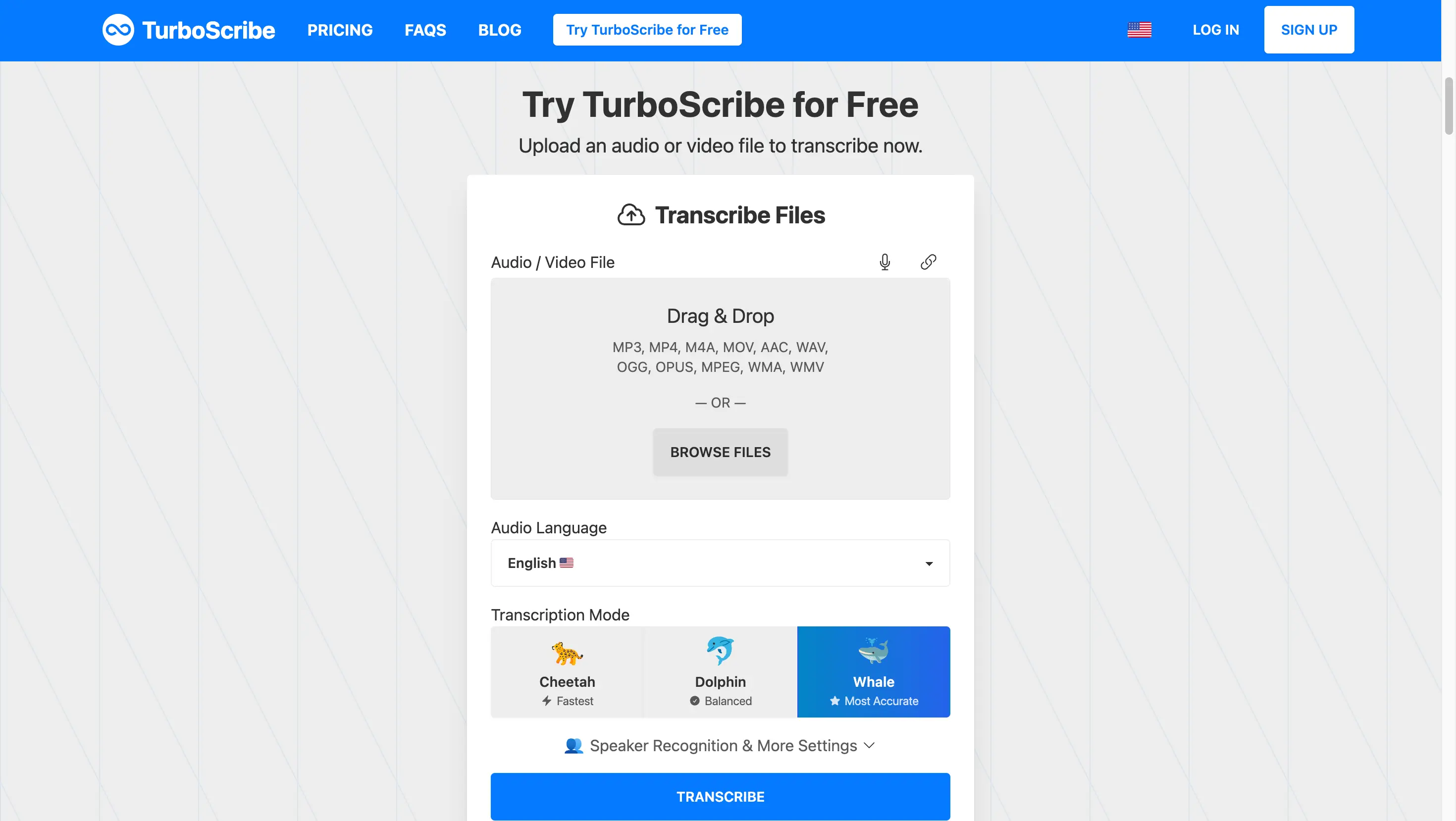 TurboScribe